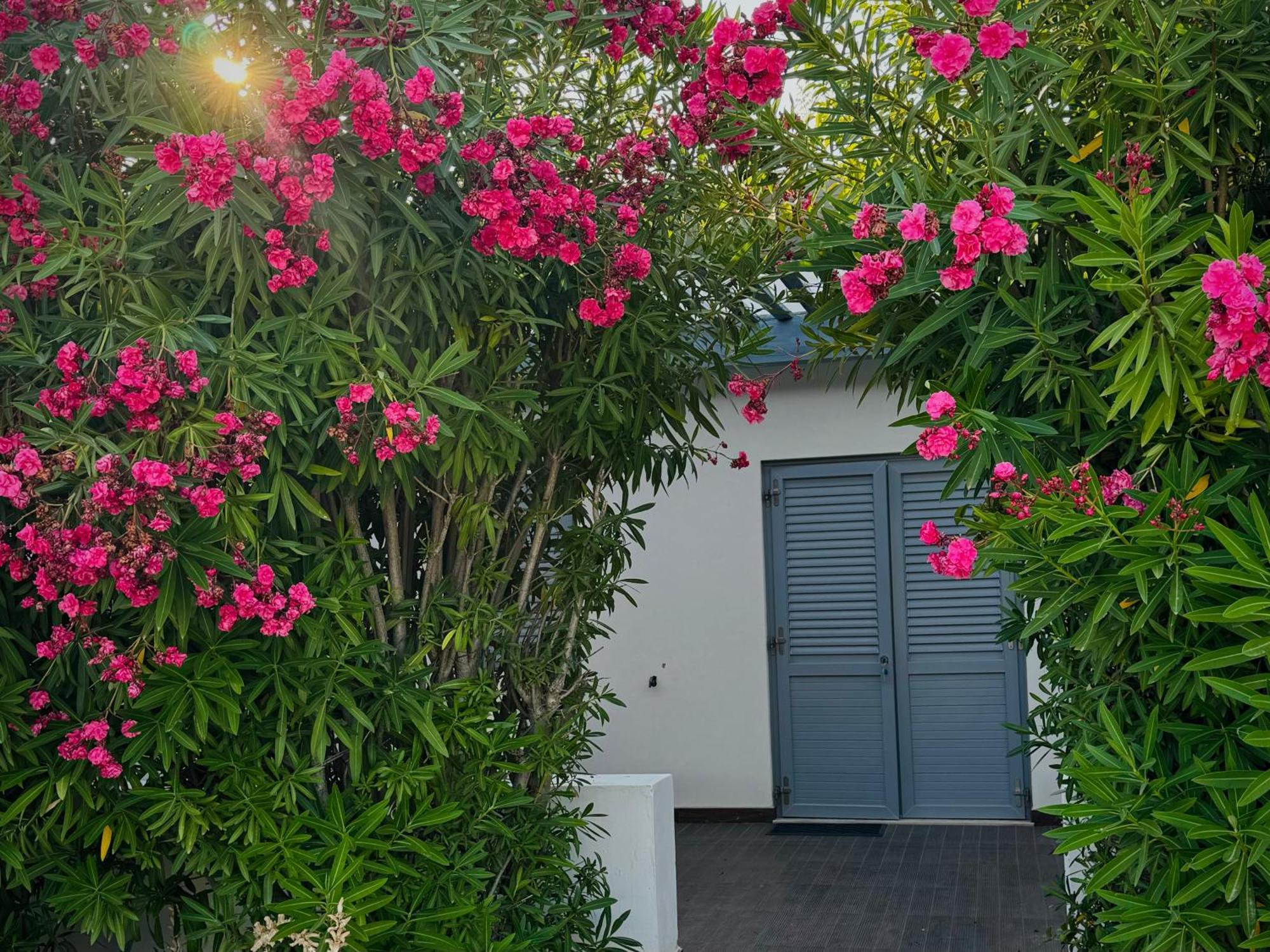 Baia Sangiorgio Hotel & Beach Club บารี ภายนอก รูปภาพ